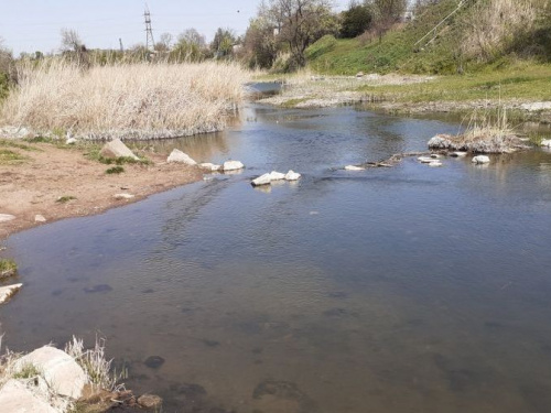 Фото Facebook/ Иосиф Маяков