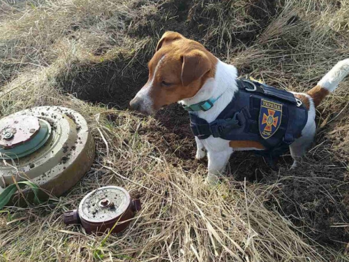Фото Гончаренко Центру