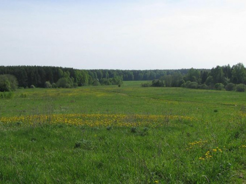 Под Кривым Рогом организацию заставили вернуть государству земельный участок стоимостью 5 миллионов гривен