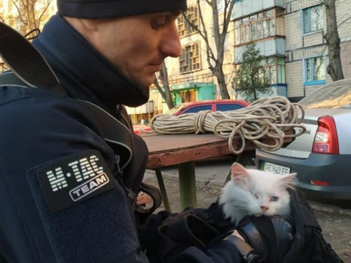 Операция "КотЭ": в Кривом Роге спасли кота, который несколько дней посидел на крыше балкона