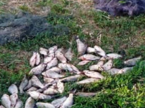 Фото: Дніпропетровський рибоохоронний патруль