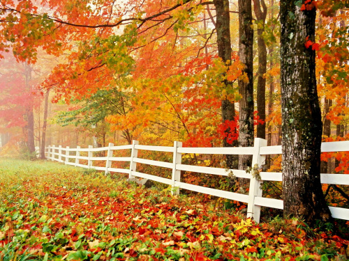 Погода на вікенд - фото ілюстративне з відкритих джерел  