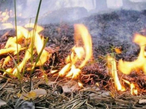 Жителей Кривого Рога предупреждают о высокой пожарной опасности