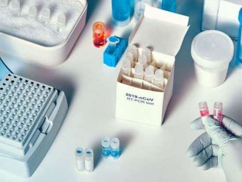 Фото из сети Интернет