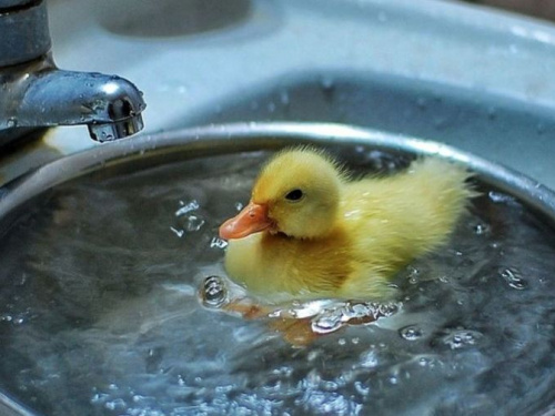 Сделай запас: в Кривом Роге больница, диспансер и несколько улиц останутся без воды (адреса)