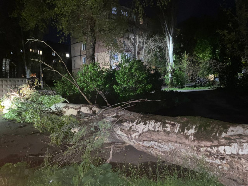 Фото krivbass.city