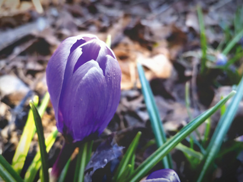 Тиха зміна сезону: прогноз, який вас здивує - фото з відкритих джерел