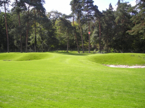 Простий осінній метод боротьби з мохом і бур’янами - фото з відкритих джерел