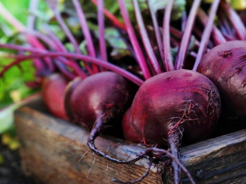 Фото з відкритих джерел