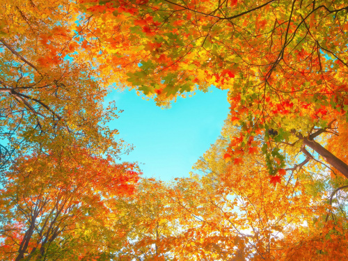 Осіннє рівнодення: давні вірування та сучасне значення - фото з відкритих джерел