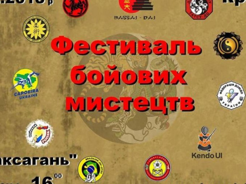 В Кривом Роге пройдет ежегодный фестиваль боевых искусств