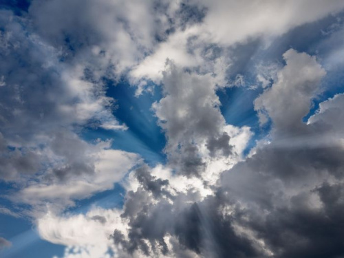 Весняні контрасти - фото з відкритих джерел