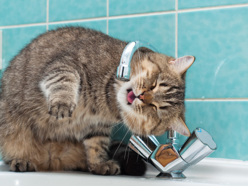 Як використовувати безпечно воду у разі тривалої відсутности централізованого водопостачання, фото з відкритих джерел 