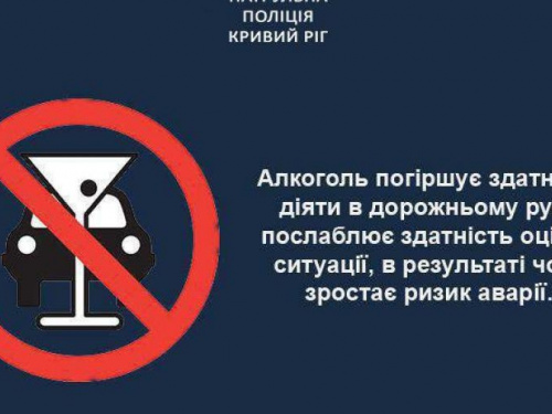 В Кривом Роге за одну ночь полицейские поймали семь нетрезвых водителей за рулём автомобилей