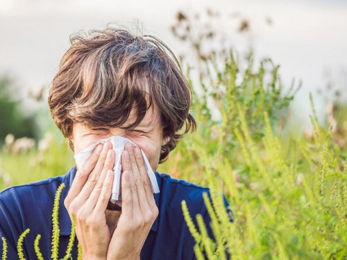 Фото з відкритих джерел