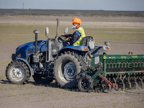 Весняні польові роботи: на ГЗК Метінвесту піклуються про посіви, висаджені для боротьби з пилоутворенням