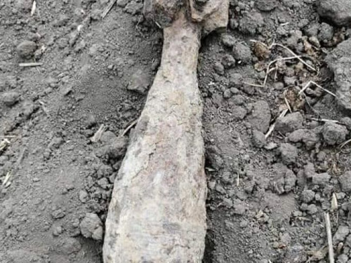 В Криворожском районе во время работ в поле нашли минометную мину (фото)