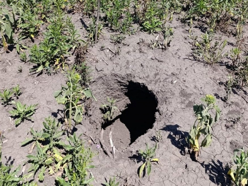 Фото Метеостанція у Великій Олександрівці