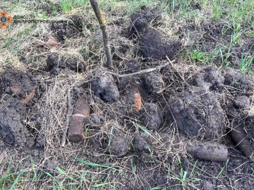 На Криворіжжі знайшли 54 застарілі артилерійські снаряди: піротехніки ДСНС їх знищили