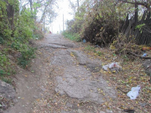 Не для слабонервных: в Кривом Роге есть улицы, где не ступала нога коммунальщиков (ФОТОРЕПОРТАЖ)