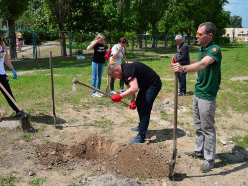 В Кривом Роге одной зеленой аллеей стало больше (фото)