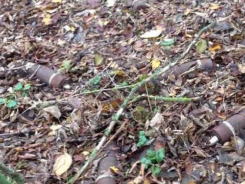 В Кривом Роге на территории промышленного предприятия обнаружили минометную мину