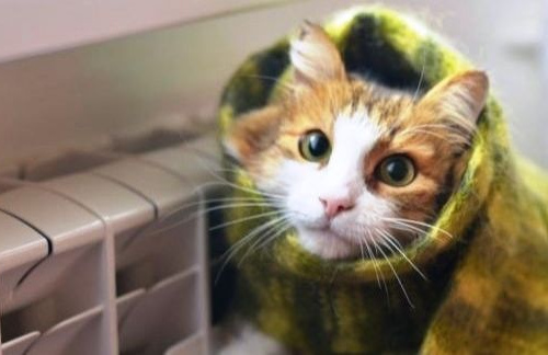 Немає опалення, фото з відкритих джерел 