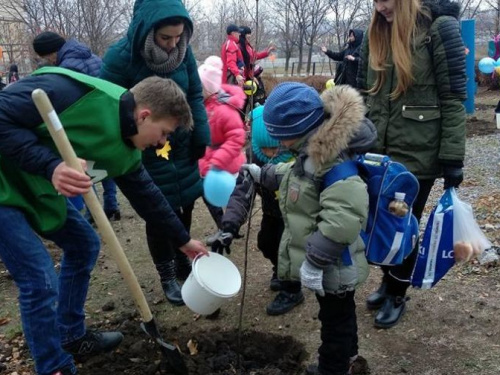 В Кривом Роге на школьном дворе появится кленовый сквер (фотофакт)