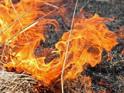 В Кривом Роге объявлена высокая пожарная опасность