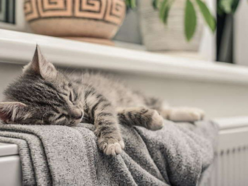 Вдома немає опалення, фото з відкритих джерел 