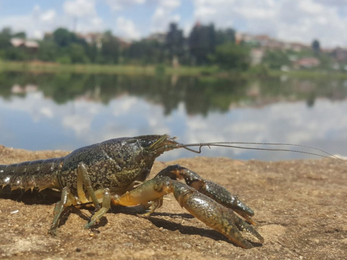 Фото з відкритих джерел