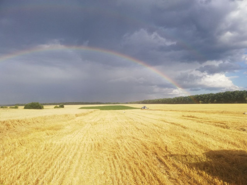 Сонце, спека і майже без дощів: прогноз погоди на 1-2 серпня - фото з відкритих джерел