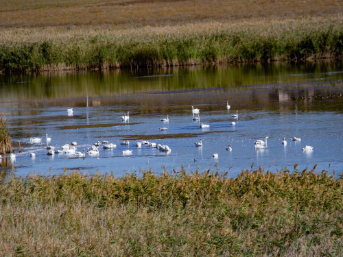 Фото спільнота "Природа Криворіжжя"
