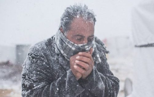 Фото з відкритих джерел