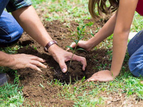 Фото з відкритих джерел