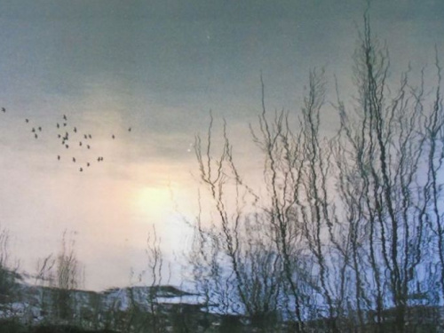 Жителей Кривого Рога приглашают на философскую фотовыставку 