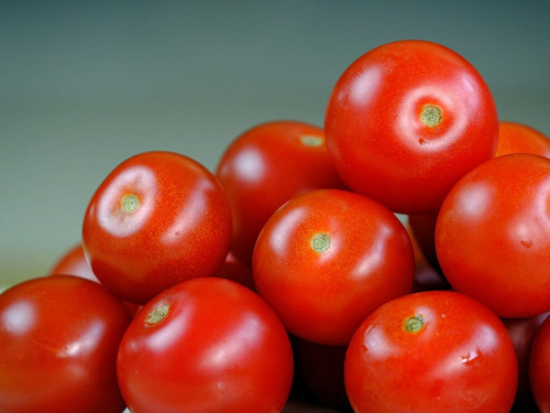 Помідори без холодильника: простий трюк, який зберігає смак - фото з відкритих джерел