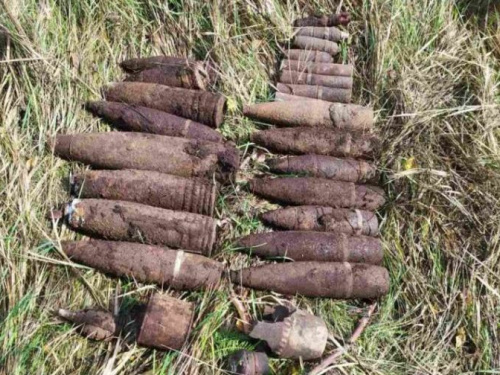 В Криворожском районе историко-поисковая организация обнаружила 28 боеприпасов (фото)