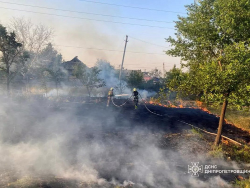 Дніпропетровщина палає: за добу в регіоні вогонь знищив понад 40 гектарів екосистем