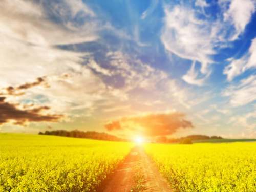 Погода на вікенд - фото ілюстративне з відкритих джерел  