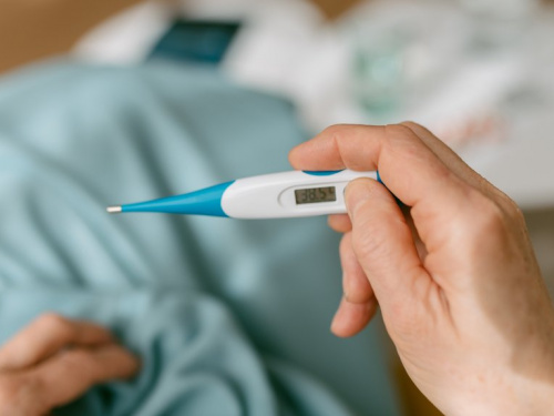 Фото з відкритих джерел 