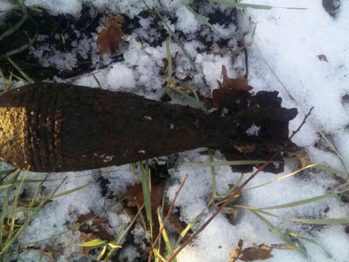 Под Кривым Рогом нашли и обезвредили минометную мину (фото)