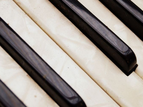 Фото из сети Интернет