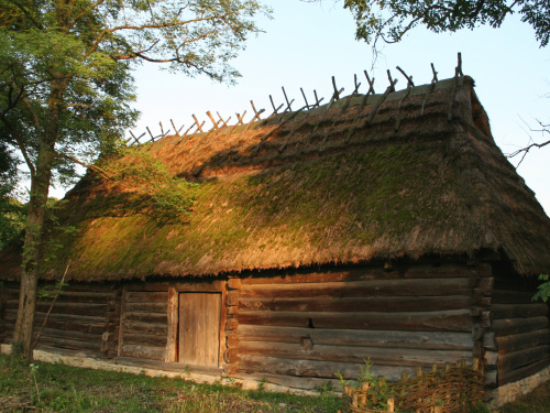Цікаве слово з української мови, що викликає подив у росіян - фото з Вікісловник