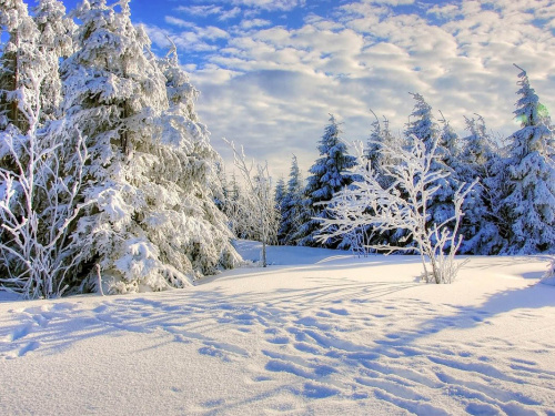Фото ілюстративне з відкритих джерел     