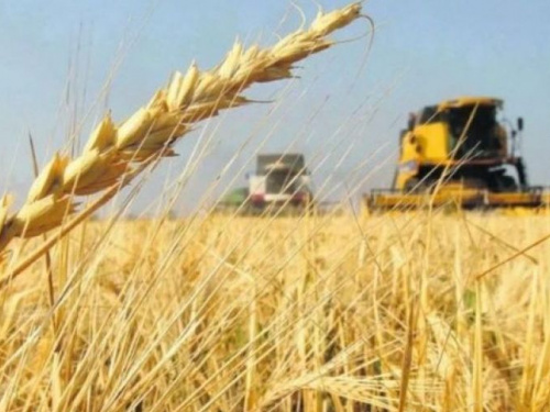 На Днепропетровщине собрали первый миллион тонн ранних зерновых