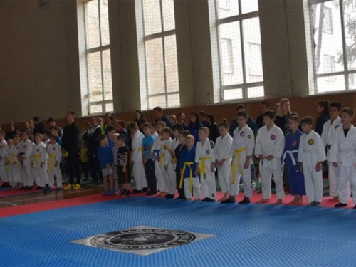 В Кривом Роге провели турнир по бразильскому джиу-джитсу (фото)