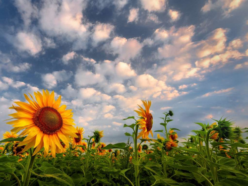Погода на уїк-енд - фото ілюстративне з відкритих джерел  