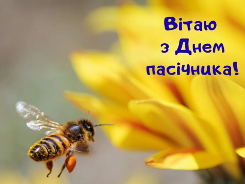 Свято меду та бджіл: коли відзначають День пасічника у 2026 році - фото з відкритих джерел