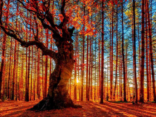 Фото з відкритих джерел    